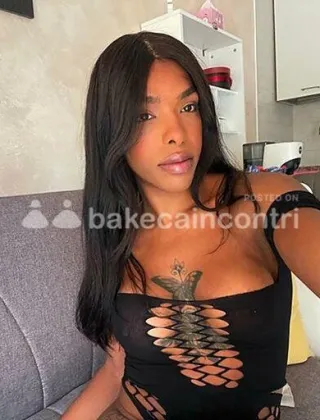11 - Trans Torino - 3202696925