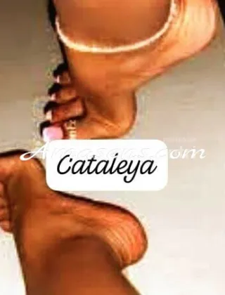 4 - Cataleya Escort Isernia - 3508187306