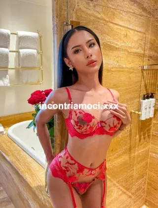 3 - Froy Trans Thailande Trans Milano - 3511149838