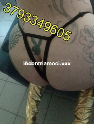 31 - Coppia Trans Milano - 3793349605
