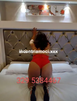 7 - Sofia Escort Novara - 3295384467