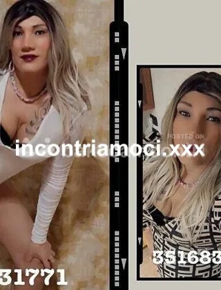 19 - Bella Trans Trans Alessandria - 3516831771