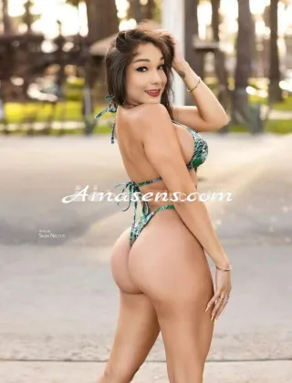 3 - Diana Trans Perugia - 3342024111