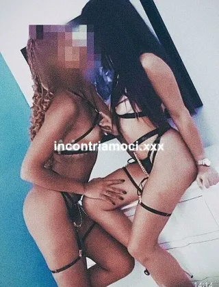 3511306919 - Giulia 31 Escort Padova