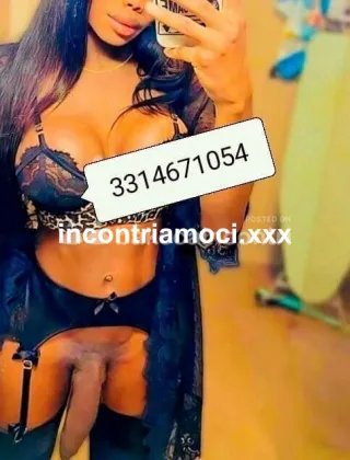 34 - Mariana Trans Pescara - 3314671054
