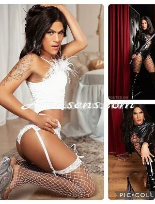 2 - Pamela Trans Imperia - 3509804403