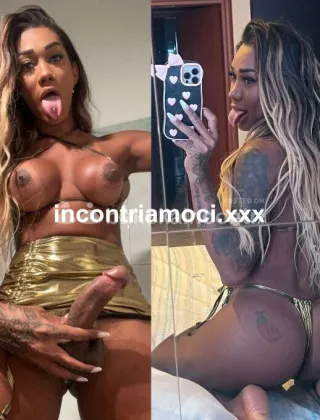 31 - Kelly Trans Varese - 3249081788