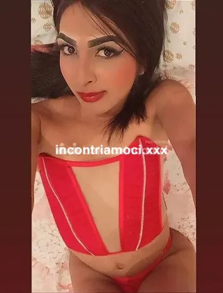 13 - Samy Trans Rovigo - 3311813252