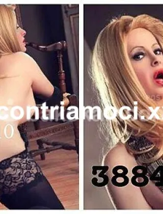 6 - Lumena Trans Trans Frosinone - 3884006710