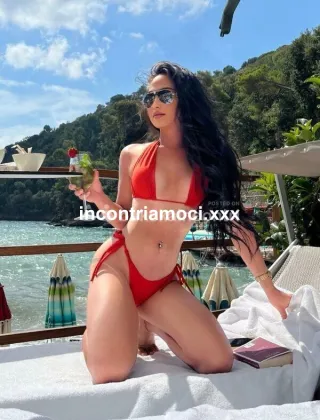 13 - Megan Trans Caserta - 3935020179