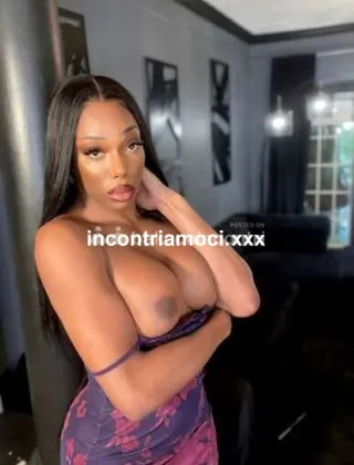 3807649099 - Micell 24 Trans Verona
