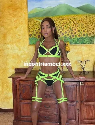 4 - Karina Trans Imperia - 3929382513