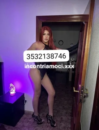 2 - Brenda Trans Sassari - 3509306442