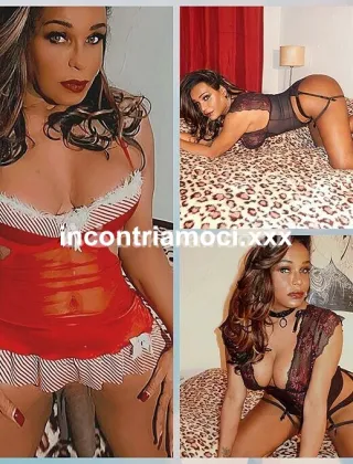 12 - Lya Trans Perugia - 3274740972