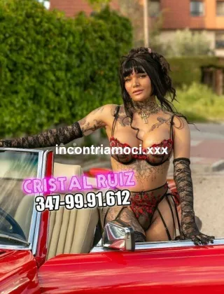 17 - Cristal Trans Torino - 3479991612