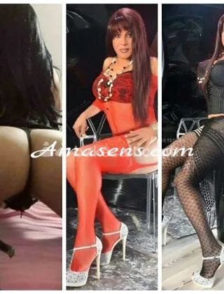 15 - Salome Trans Foggia - 3341768068