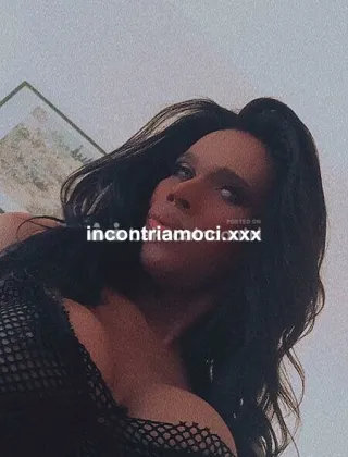 6 - Anaconda Trans Alessandria - 3202571601