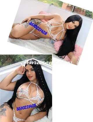 8 - Moana Trans Latina - 3510221428