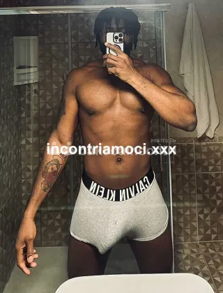21 - Stallone Africano Coppie Napoli - 3509113369