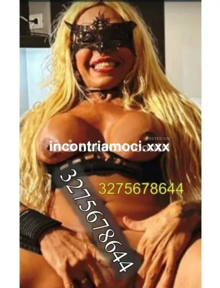 12 - Aline Trans Prato - 3275678644