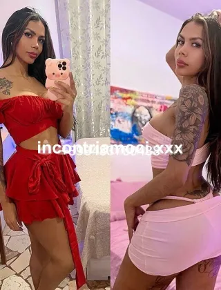 31 - Sirena Trans Mantova - 3483750488