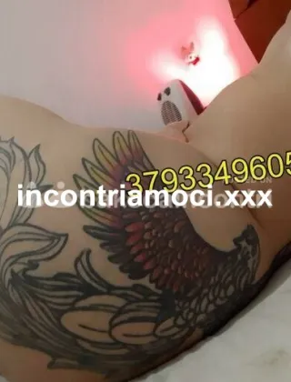 32 - Coppia Trans Milano - 3793349605