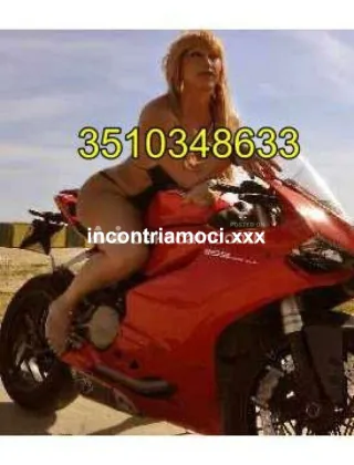 19 - Felina Big Cook Trans Treviso - 3510348633