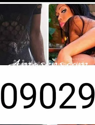 7 - Brenda Trans Perugia - 3509029993