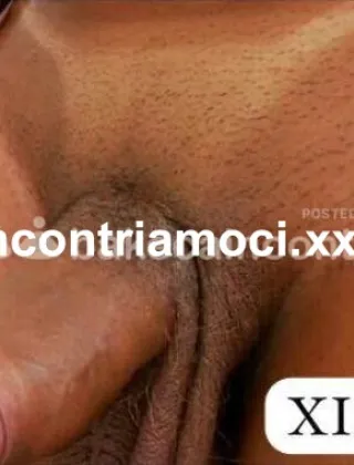 23 - Trans Trans Trento - 3508578836