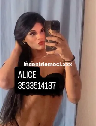 17 - Alice Trans Milano - 3533514187