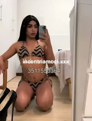 10 - Luciana Trans Cuneo - 3511550364