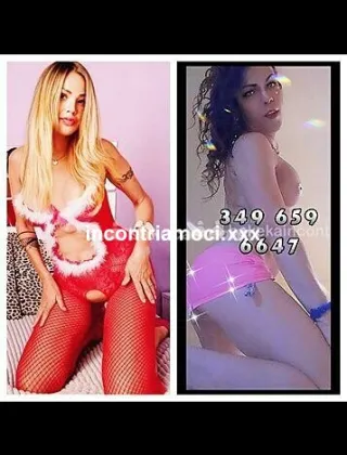 36 - Diamante Trans Ancona - 3496596647