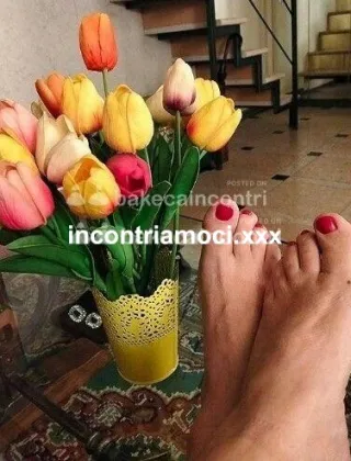 13 - Antonella Escort Pisa - 3898290757