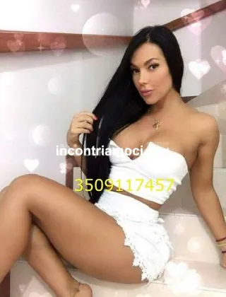 15 - Chanelly Trans Trans Como - 3509117457