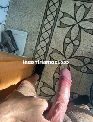 11 - Lupo Coppie Napoli - 3513652779