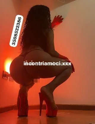 12 - Daniela Trans Trapani - 3508522386