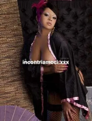 12 - Monica Trans Treviso - 3792931084