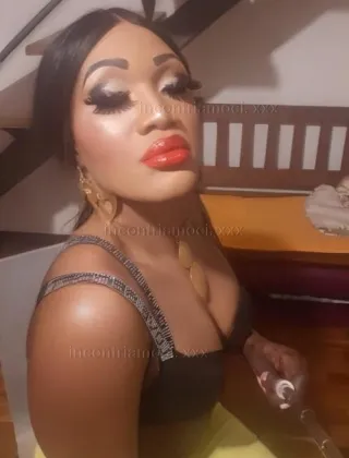 33 - . Trans Cosenza - 3514870979