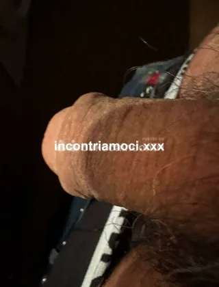 10 - Dinamo Coppie Bologna - 3923365391