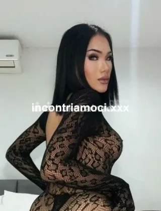 27 - Anita Trans Vicenza - 3470681578
