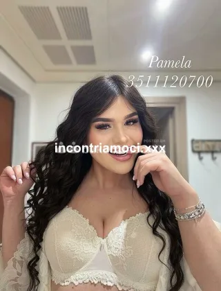 10 - Pamy Pornostar Trans Pesaro e Urbino - 3511120700