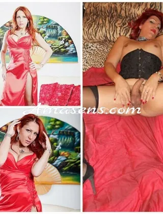 15 - Lory Trans Bari - 3493537221