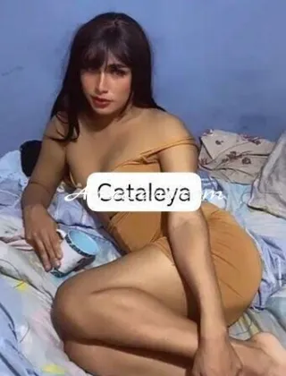 11 - Emilia Trans Reggio Emilia - 3381772021