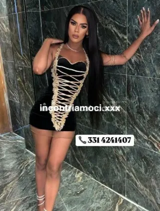 24 - Karla Trans Imperia - 3314241407