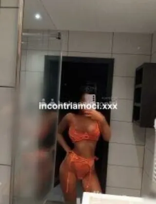23 - Perla Trans Torino - 3339437456