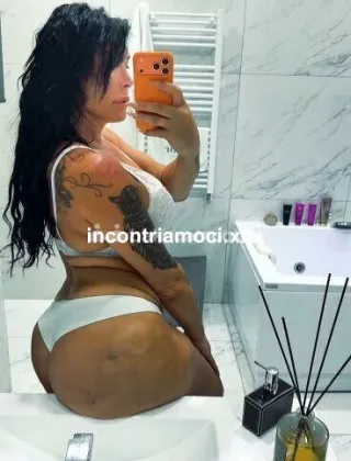 36 - Kim Trans Caserta - 3313252921