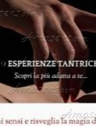 33 - E Trans Verona - 3389220924