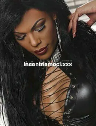 7 - Nicol Trans Perugia - 3289735866