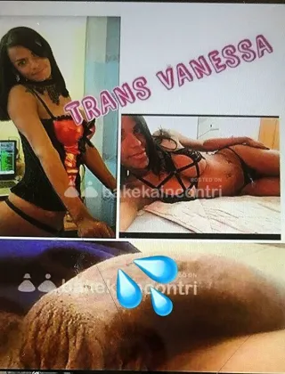 18 - New New Trans Prato - 3512944990