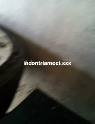 6 - Pamela Trans Valle d'aosta - 3929446681